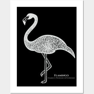 Flamingo with Common and Scientific Names - design for flamingo lovers Posters and Art